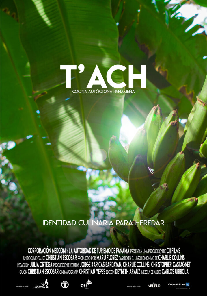 TACH POSTER 2 [PORTRAIT]